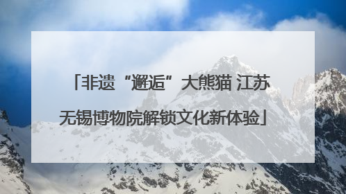 非遗“邂逅”大熊猫 江苏无锡博物院解锁文化新体验