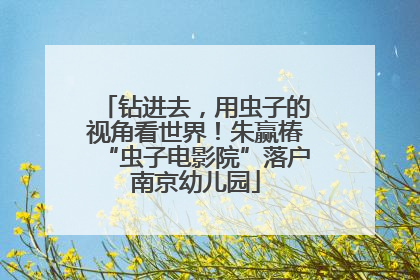钻进去，用虫子的视角看世界！朱赢椿“虫子电影院”落户南京幼儿园