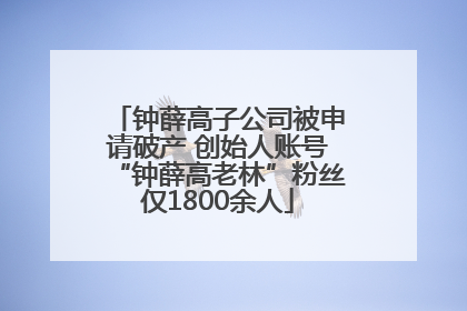 钟薛高子公司被申请破产 创始人账号“钟薛高老林”粉丝仅1800余人