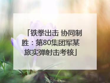 铁拳出击 协同制胜：第80集团军某旅实弹射击考核