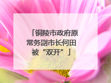 铜陵市政府原常务副市长何田被“双开”