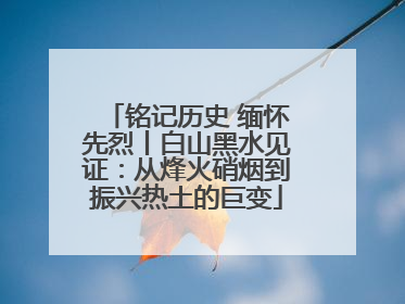 铭记历史 缅怀先烈丨白山黑水见证：从烽火硝烟到振兴热土的巨变