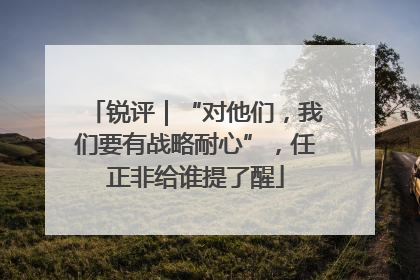 锐评｜“对他们，我们要有战略耐心”，任正非给谁提了醒