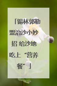 锡林郭勒盟治沙小妙招 给沙地吃上“营养餐”