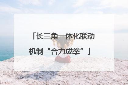 长三角一体化联动机制“合力成拳”
