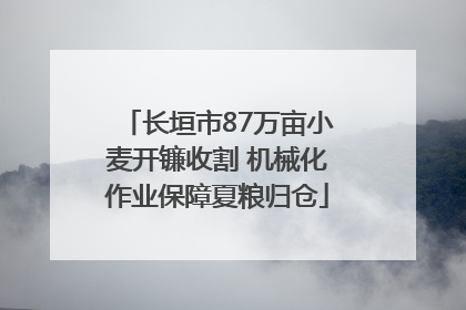 长垣市87万亩小麦开镰收割 机械化作业保障夏粮归仓