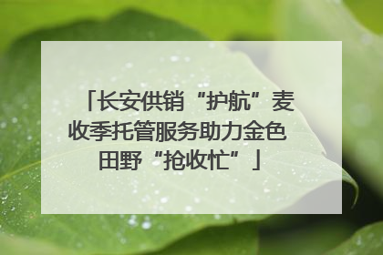 长安供销“护航”麦收季托管服务助力金色田野“抢收忙”