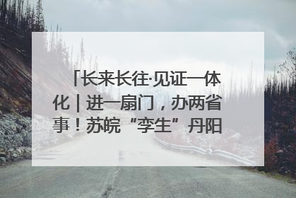 长来长往·见证一体化｜进一扇门，办两省事！苏皖“孪生”丹阳如何做到的？