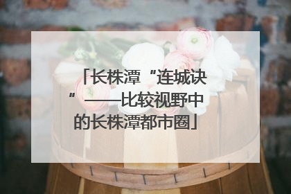 长株潭“连城诀”——比较视野中的长株潭都市圈