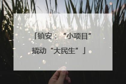 镇安：“小项目”撬动“大民生”
