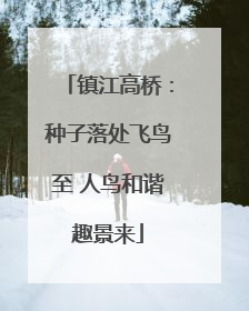 镇江高桥：种子落处飞鸟至 人鸟和谐趣景来