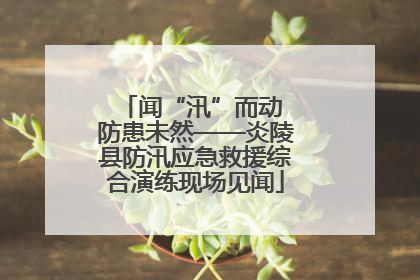 闻“汛”而动 防患未然——炎陵县防汛应急救援综合演练现场见闻