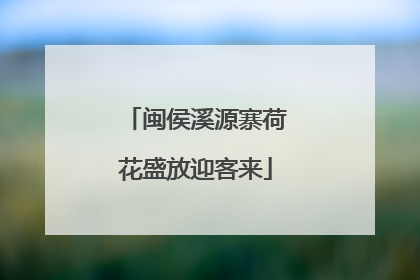闽侯溪源寨荷花盛放迎客来