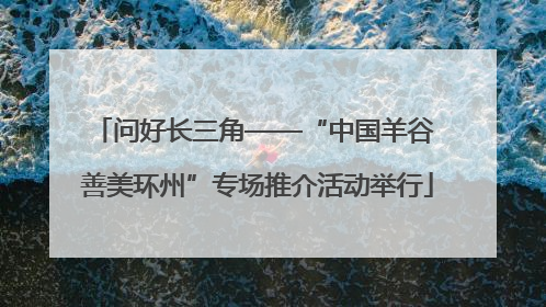 问好长三角——“中国羊谷 善美环州”专场推介活动举行