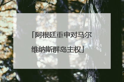 阿根廷重申对马尔维纳斯群岛主权