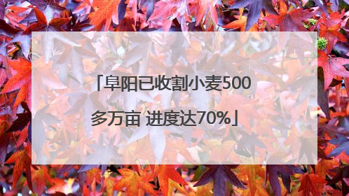 阜阳已收割小麦500多万亩 进度达70%