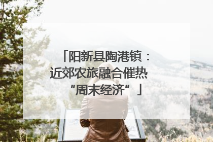 阳新县陶港镇：近郊农旅融合催热“周末经济”