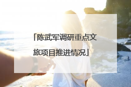 陈武军调研重点文旅项目推进情况