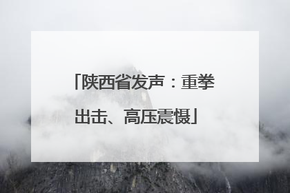 陕西省发声：重拳出击、高压震慑