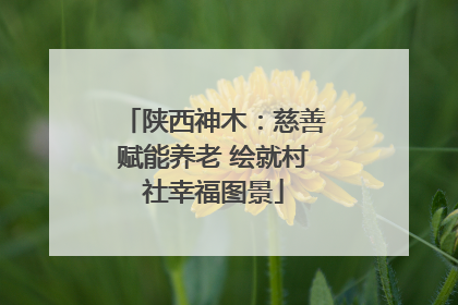 陕西神木：慈善赋能养老 绘就村社幸福图景