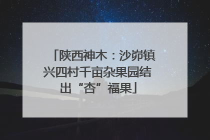 陕西神木：沙峁镇兴四村千亩杂果园结出“杏”福果