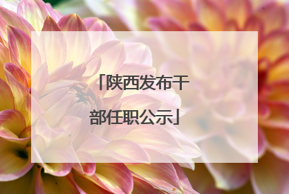 陕西发布干部任职公示