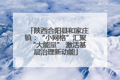 陕西合阳县和家庄镇：“小网格”汇聚“大能量” 激活基层治理新动能