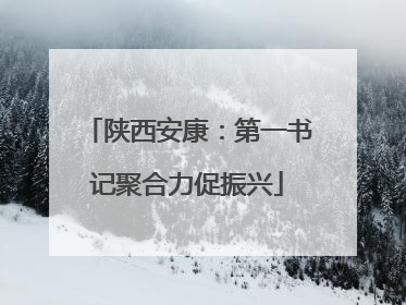 陕西安康：第一书记聚合力促振兴