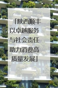 陕西顺丰以卓越服务与社会责任助力消费高质量发展