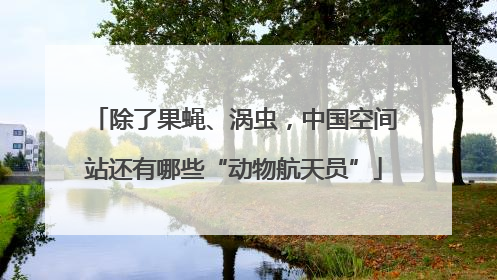 除了果蝇、涡虫，中国空间站还有哪些“动物航天员”