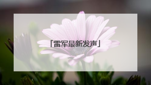 雷军最新发声
