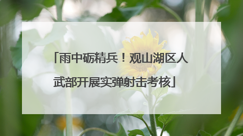 雨中砺精兵！观山湖区人武部开展实弹射击考核