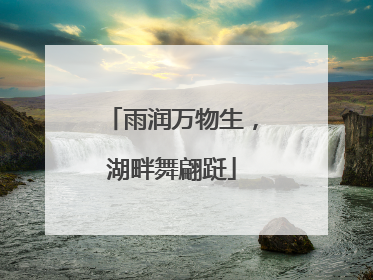 雨润万物生，湖畔舞翩跹
