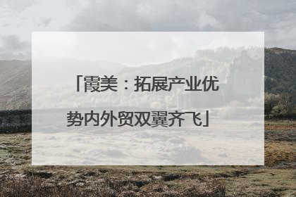 霞美：拓展产业优势内外贸双翼齐飞