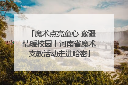 魔术点亮童心 豫疆情暖校园丨河南省魔术支教活动走进哈密