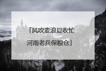 风吹麦浪夏收忙 河南老兵保粮仓