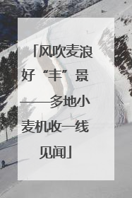 风吹麦浪好“丰”景——多地小麦机收一线见闻