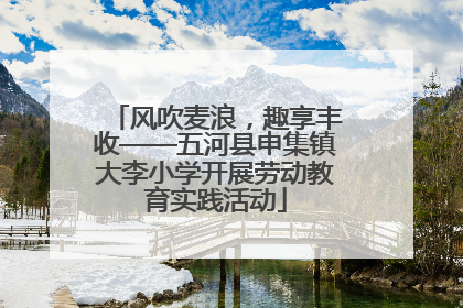 风吹麦浪，趣享丰收——五河县申集镇大李小学开展劳动教育实践活动