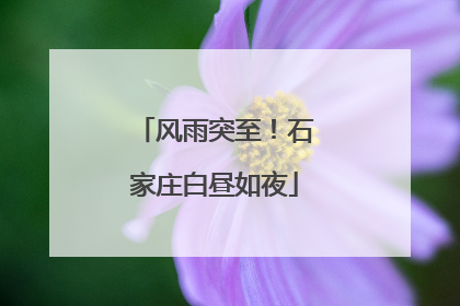 风雨突至！石家庄白昼如夜