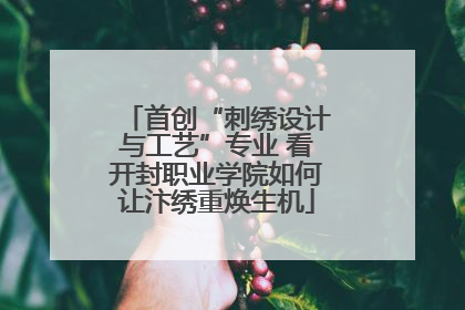 首创“刺绣设计与工艺”专业 看开封职业学院如何让汴绣重焕生机