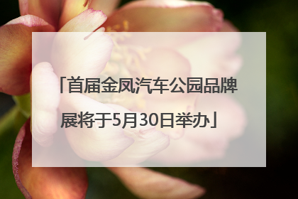 首届金凤汽车公园品牌展将于5月30日举办