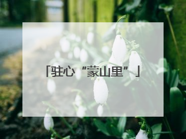驻心“蒙山里”
