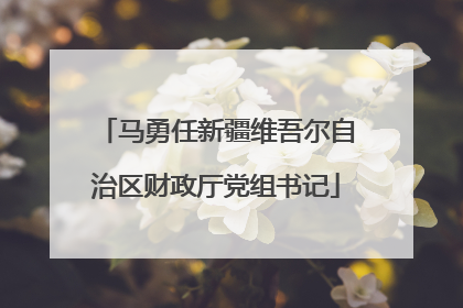 马勇任新疆维吾尔自治区财政厅党组书记