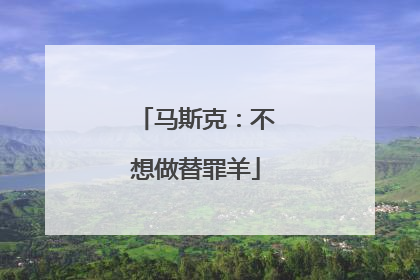 马斯克：不想做替罪羊