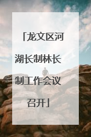 龙文区河湖长制林长制工作会议召开