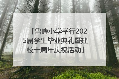鲁峰小学举行2025届学生毕业典礼暨建校十周年庆祝活动