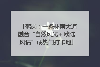 鹤岗：一条林荫大道融合“自然风光＋欧陆风情”成热门打卡地