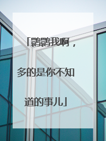 鹮鹮我啊，多的是你不知道的事儿