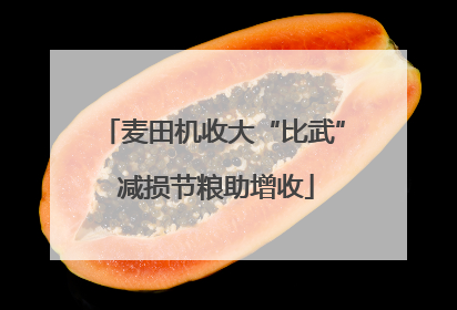 麦田机收大“比武” 减损节粮助增收