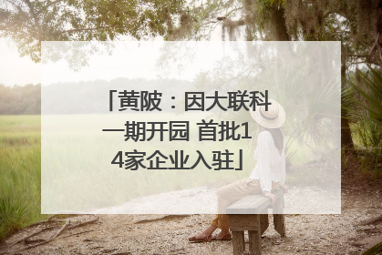 黄陂：因大联科一期开园 首批14家企业入驻